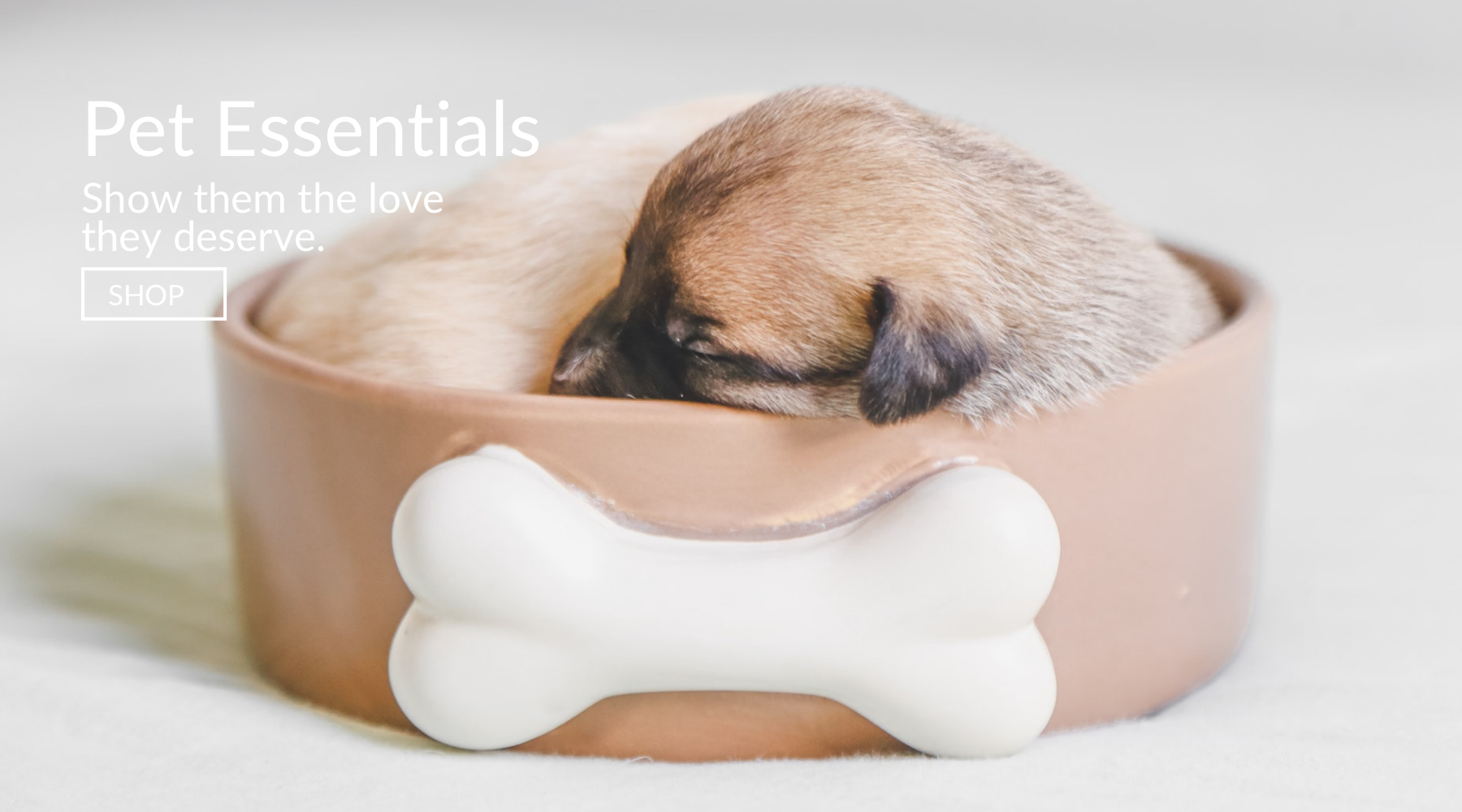 Pet Essentials - Show your pets the love they deserve - lyren.com